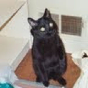 Meet your Posher, Lori